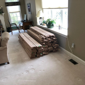 Colonial Maple - Chester