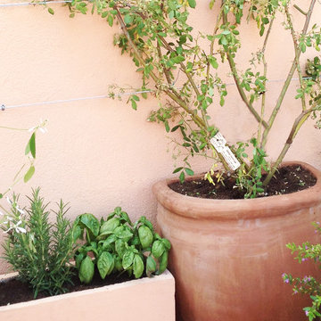 Terrazzo in movimento