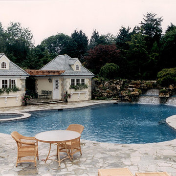 Freeform Pools