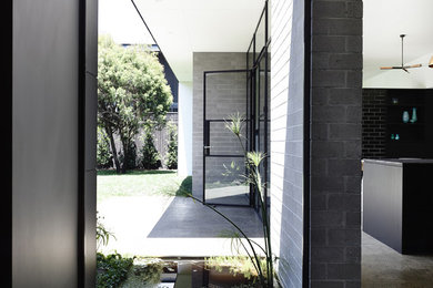 Inspiration for a large contemporary foyer in Melbourne with grey walls, concrete floors, a double front door and a black front door.