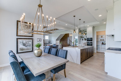 Transitional dining room photo in Minneapolis