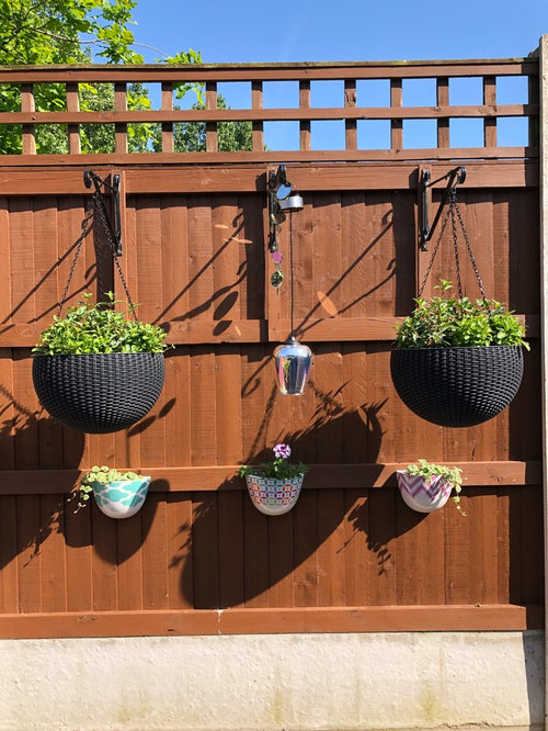 Should I paint my fences black? Houzz UK