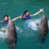 Marco Luna's photo