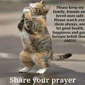 Cindy Carpenter's photo
