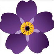 Diane Moogalian's photo