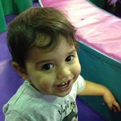 שאול כהן's photo