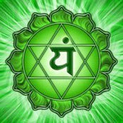 Moshe Garland's photo