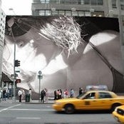 Yolanda Rodriguez's photo