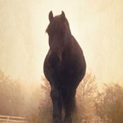 Photo de Lisa Loewen