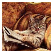 Toni Lindsey's photo