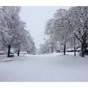 Shannon Passant's photo
