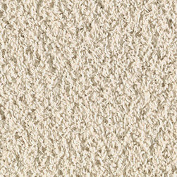 Carpet - Flooring
