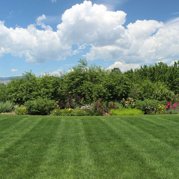 Wide-Open Spaces with Shaded Garden