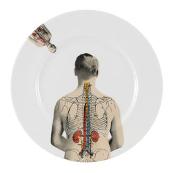 The New English - The New English Anatomica Breakfast Plate - Dinner Plates