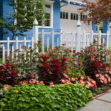Landscape Ideas