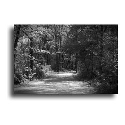 Photography - Fine Art Prints