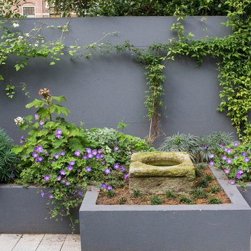 Modern family garden with clean lines