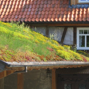 Dachbegrünung