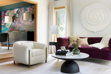 Transitional living room photo in Minneapolis