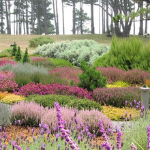 Gregorian Garden