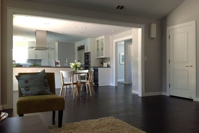 Large trendy home design photo in San Francisco