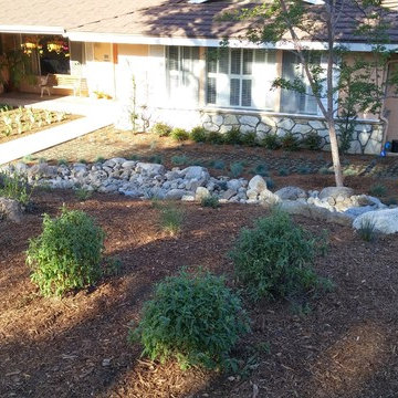 La Crescenta River Bed Project