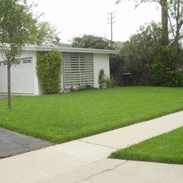 New Landscaping Northridge 2