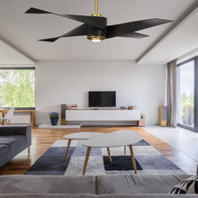 Ceiling Fans