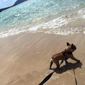 Laurie Oue's photo