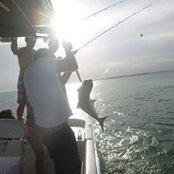 Brian Buddendorf's photo