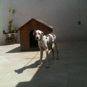 Edmundo Ramirez's photo