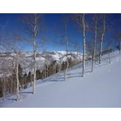 Bruce Sheely's photo