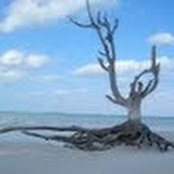 jill lindamood's photo