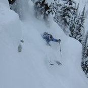 Dave Elphick's photo