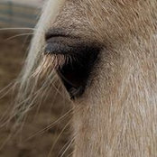 Vicki Magnusson's photo