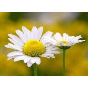 Jamie Hall's photo