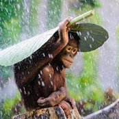 Brigida Raquel's photo