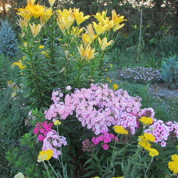 Beth's Gardens 2017