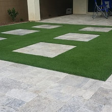 '19 Backyard