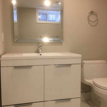 Stoney Creek Basement Bathroom/Office