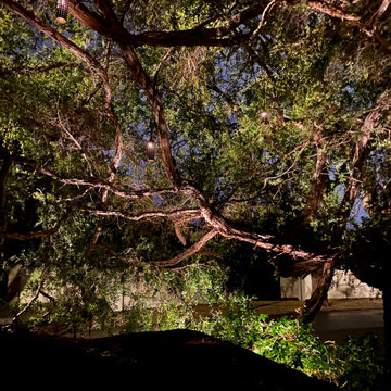 Berkley Hills lighting project