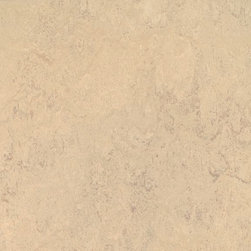 Forbo - Forbo Marmoleum Modular, Calico - T2713, 10" x 20" - Flooring
