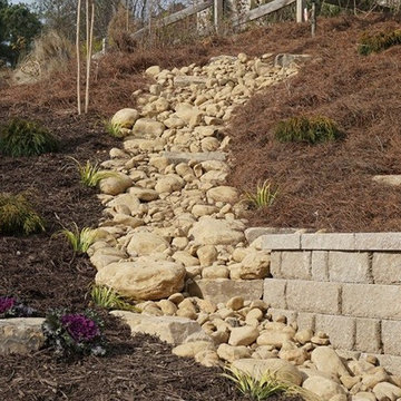 Dry Creek Beds