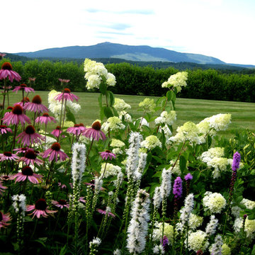 Echinacea, Liatris, Hydrangea