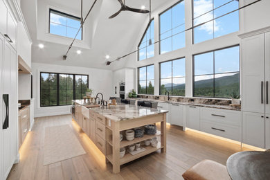 Kitchen - contemporary kitchen idea in Denver