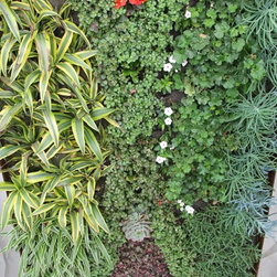 Living Wall System Residential - Garden Statues And Yard Art