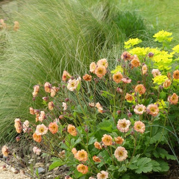 Large Country Garden, Dorset