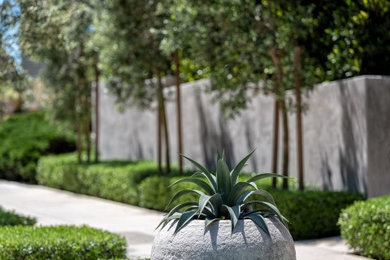 Inspiration for a contemporary exterior home remodel in San Francisco
