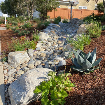 Torrance Hollywood Riviera Bee Friendly Ecological Garden