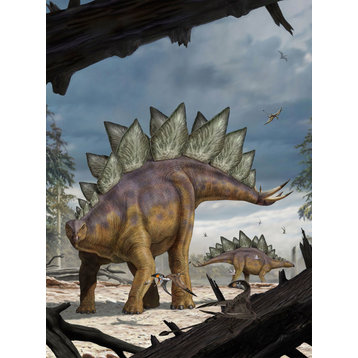 Stegosaurus Wall Mural